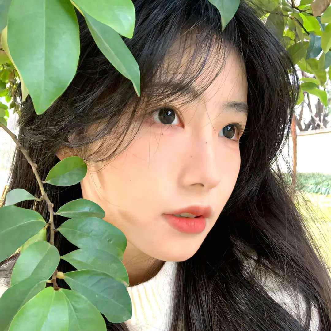 麦田里的反叛者